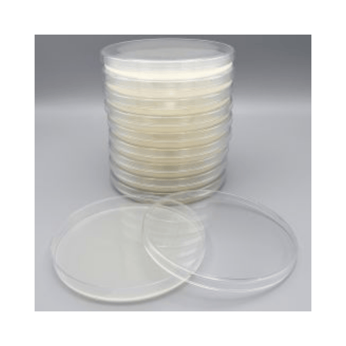 Potato Dextrose Agar (PDA) with Chlortetracycline | Hardy Diagnostics | Selective Fungal Isolation Medium