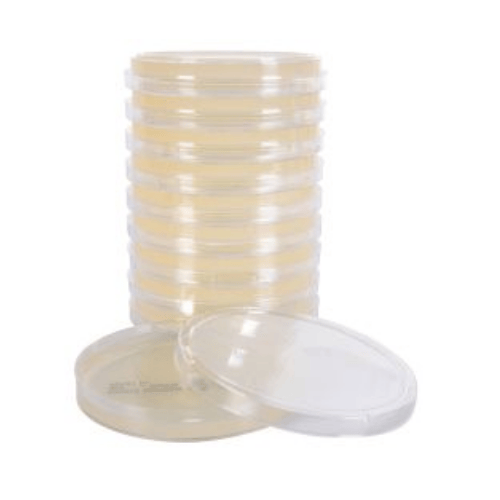 Potato Dextrose Agar (PDA) with Chloramphenicol Plates