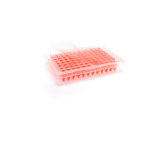 eXTReme Sealing Film for PCR and Cold Storage